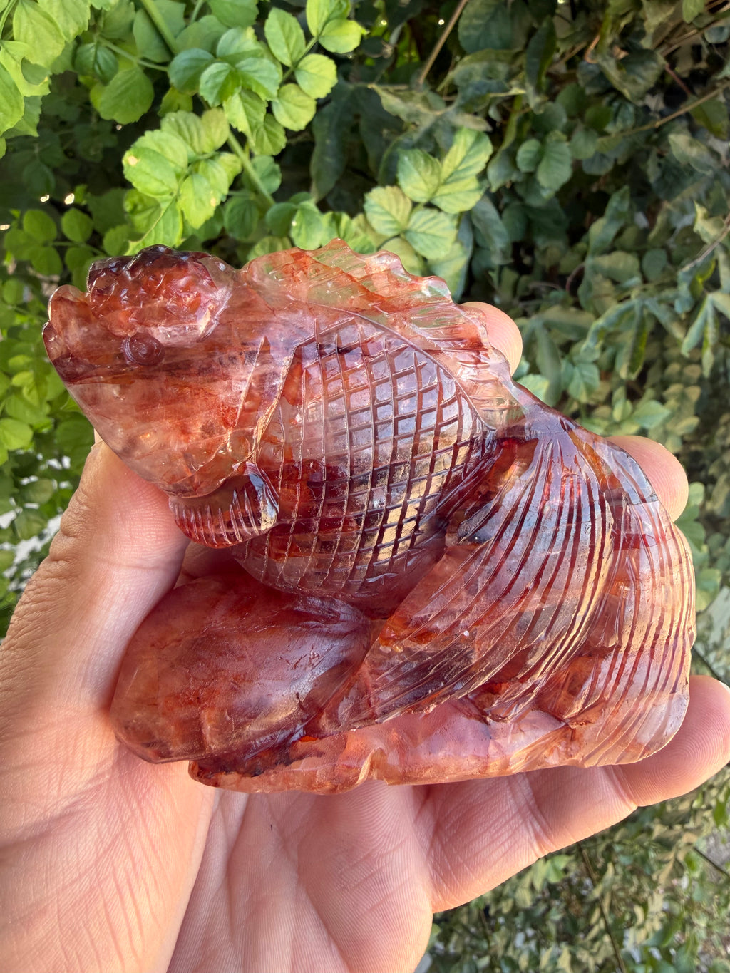 Hand Carved Fire Quartz Japanese Oranda Goldfish Carving.