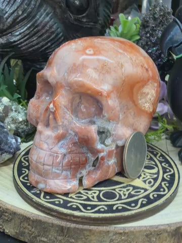 Pink Petal Agate Skull #80